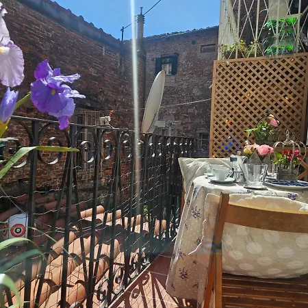 Torre * Lucca